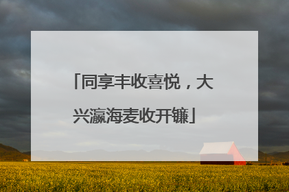 同享丰收喜悦，大兴瀛海麦收开镰