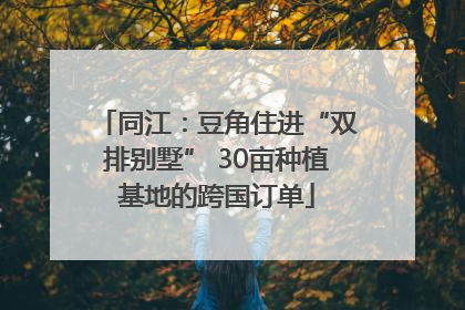 同江：豆角住进“双排别墅” 30亩种植基地的跨国订单