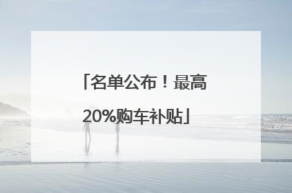 名单公布！最高20%购车补贴