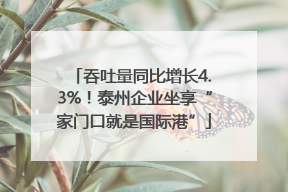 吞吐量同比增长4.3%！泰州企业坐享“家门口就是国际港”