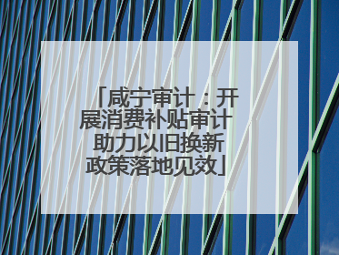 咸宁审计：开展消费补贴审计 助力以旧换新政策落地见效