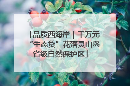 品质西海岸｜千万元“生态贷”花落灵山岛省级自然保护区