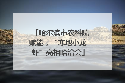 哈尔滨市农科院赋能，“寒地小龙虾”亮相哈洽会