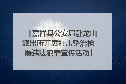 嘉祥县公安局卧龙山派出所开展打击整治枪爆违法犯罪宣传活动