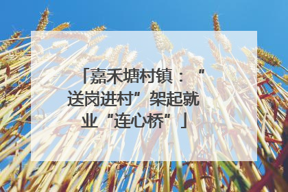 嘉禾塘村镇：“送岗进村”架起就业“连心桥”