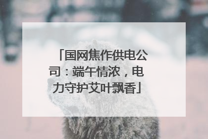 国网焦作供电公司：端午情浓，电力守护艾叶飘香