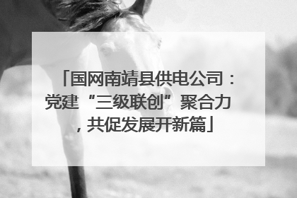 国网南靖县供电公司：党建“三级联创”聚合力，共促发展开新篇