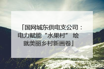 国网城东供电支公司：电力赋能“水果村” 绘就美丽乡村新画卷