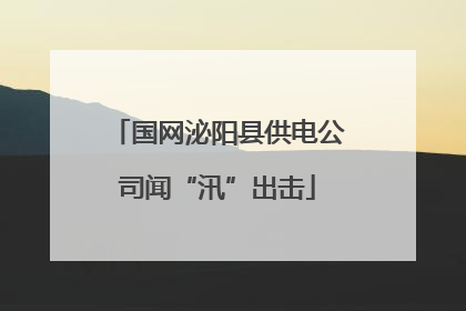 国网泌阳县供电公司闻“汛”出击