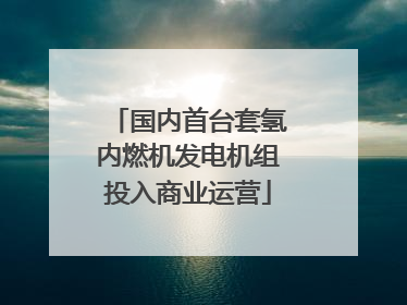 国内首台套氢内燃机发电机组投入商业运营