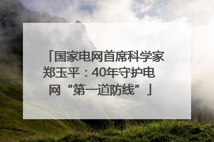 国家电网首席科学家郑玉平：40年守护电网“第一道防线”