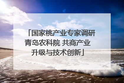 国家桃产业专家调研青岛农科院 共商产业升级与技术创新