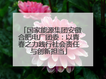国家能源集团安徽合肥电厂团委：以青春之力践行社会责任与创新担当