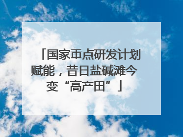 国家重点研发计划赋能，昔日盐碱滩今变“高产田”
