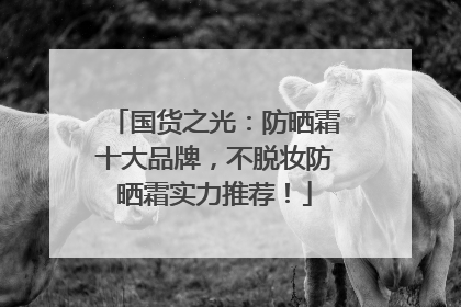 国货之光：防晒霜十大品牌，不脱妆防晒霜实力推荐！