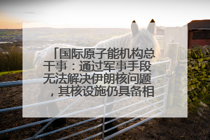 国际原子能机构总干事：通过军事手段无法解决伊朗核问题，其核设施仍具备相关产能，只需要数月就能生产出浓缩铀