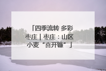 四季流转 多彩枣庄｜枣庄：山区小麦“喜开镰”