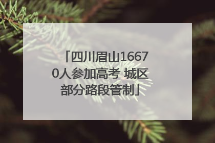四川眉山16670人参加高考 城区部分路段管制
