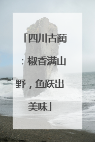 四川古蔺：椒香满山野，鱼跃出美味