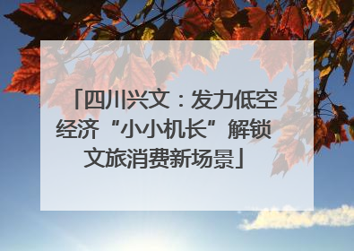 四川兴文：发力低空经济“小小机长”解锁文旅消费新场景