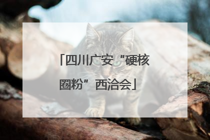 四川广安“硬核圈粉”西洽会