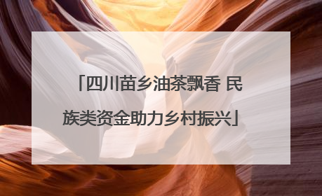 四川苗乡油茶飘香 民族类资金助力乡村振兴