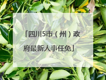 四川5市（州）政府最新人事任免