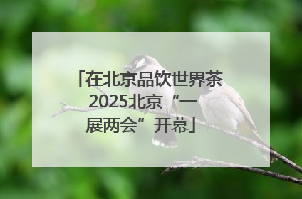 在北京品饮世界茶 2025北京“一展两会”开幕