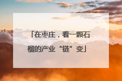 在枣庄，看一颗石榴的产业“链”变