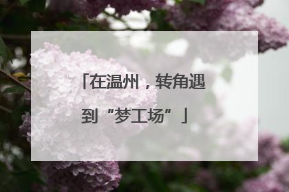在温州，转角遇到“梦工场”