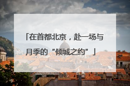 在首都北京，赴一场与月季的“倾城之约”