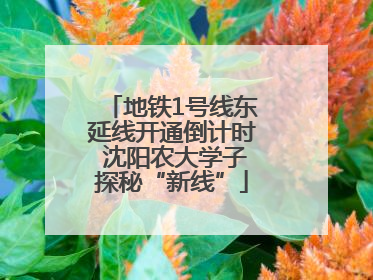 地铁1号线东延线开通倒计时 沈阳农大学子探秘“新线”