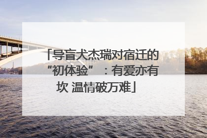 导盲犬杰瑞对宿迁的“初体验”：有爱亦有坎 温情破万难