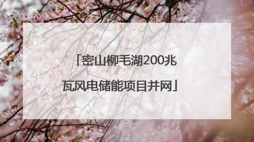 密山柳毛湖200兆瓦风电储能项目并网