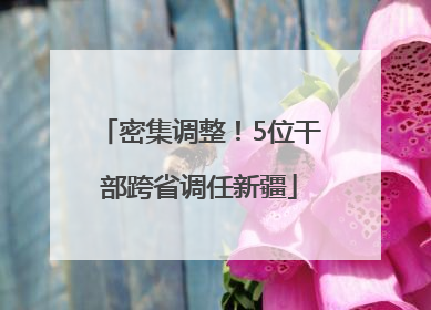 密集调整！5位干部跨省调任新疆
