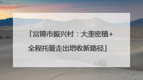 富锦市振兴村:大垄密植+全程托管走出增收新路径