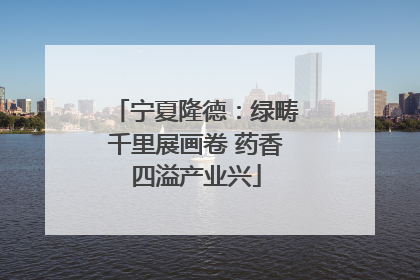 宁夏隆德：绿畴千里展画卷 药香四溢产业兴