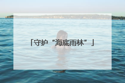 守护“海底雨林”