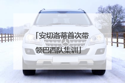 安切洛蒂首次带领巴西队集训