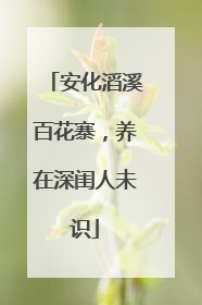 安化滔溪百花寨，养在深闺人未识