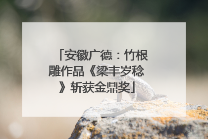 安徽广德：竹根雕作品《梁丰岁稔》斩获金鼎奖