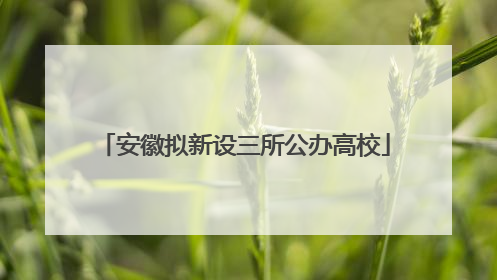 安徽拟新设三所公办高校