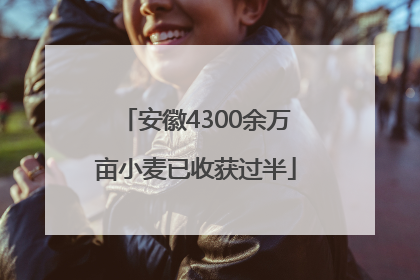 安徽4300余万亩小麦已收获过半