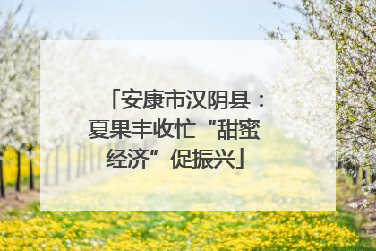 安康市汉阴县：夏果丰收忙“甜蜜经济”促振兴