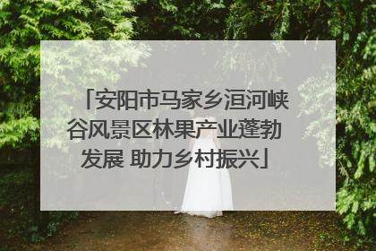 安阳市马家乡洹河峡谷风景区林果产业蓬勃发展 助力乡村振兴