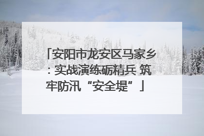 安阳市龙安区马家乡：实战演练砺精兵 筑牢防汛“安全堤”