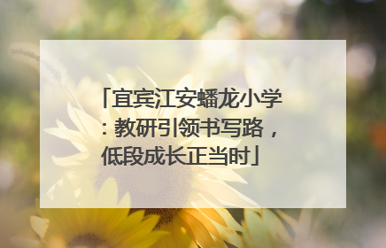 宜宾江安蟠龙小学：教研引领书写路，低段成长正当时