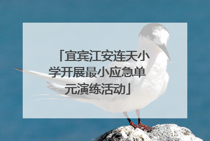 宜宾江安连天小学开展最小应急单元演练活动
