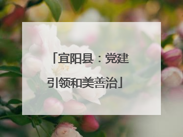 宜阳县：党建引领和美善治