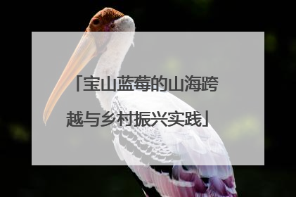 宝山蓝莓的山海跨越与乡村振兴实践